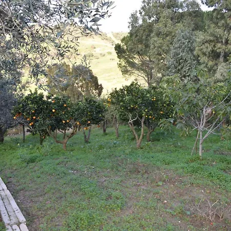 La Casetta Nel Bosco Apartment Calatafimi